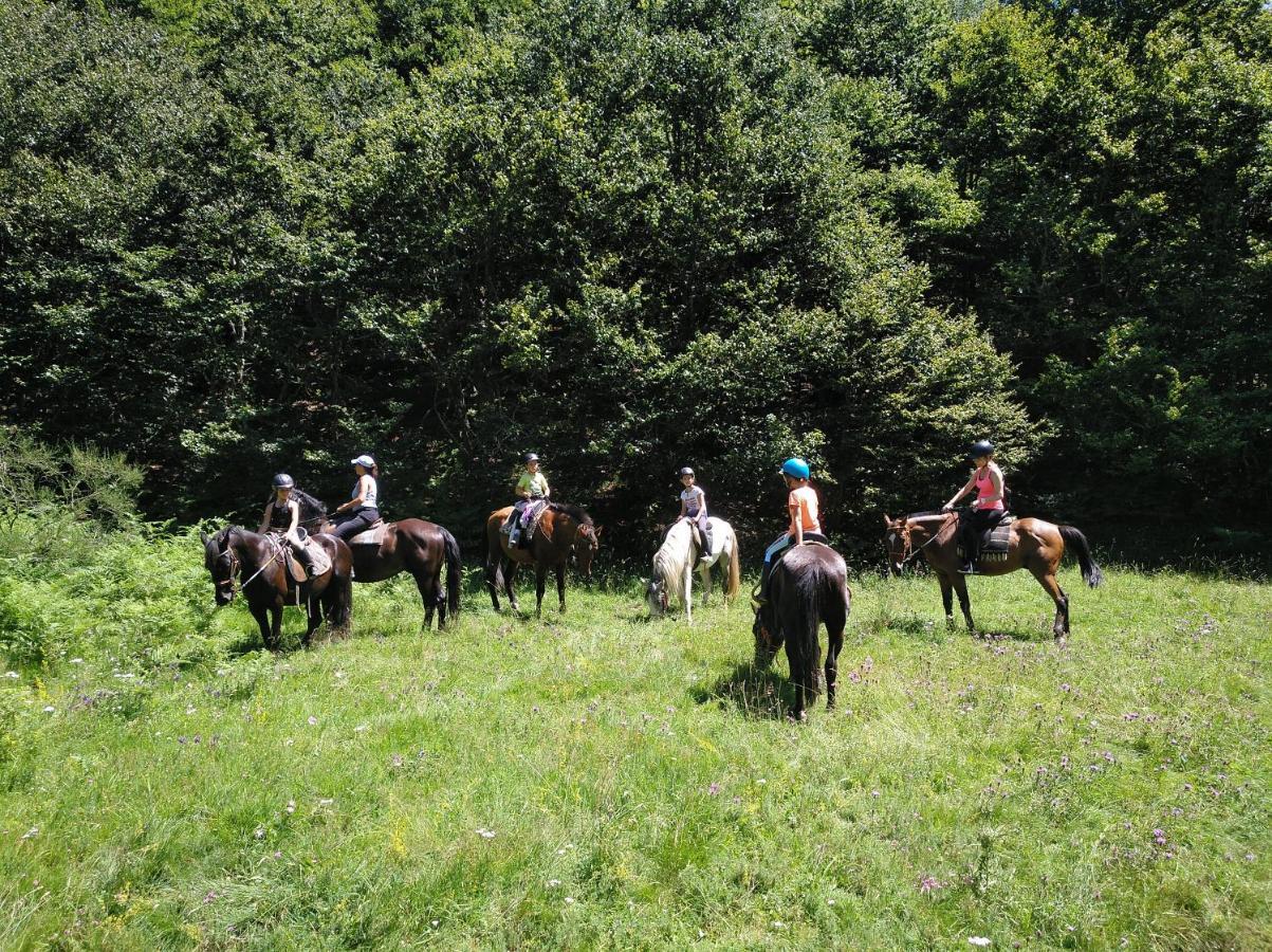 Casa Rural Cares Santa Maria de Valdeon Dış mekan fotoğraf